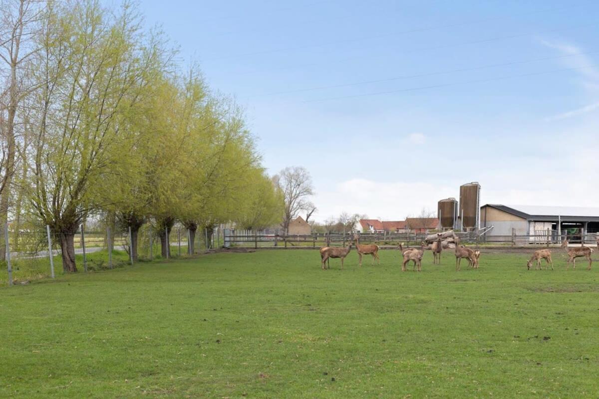 Huswell - Family House With A Beautiful View In Damme Villa Bruges Exterior foto